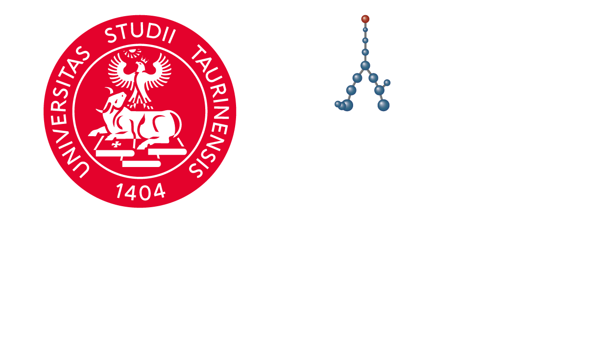 Università degli studi di Torino